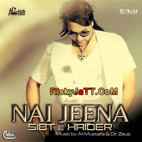 Nai Jeena Sibt E Haider, Dr Zeus and others... full album mp3 songs download