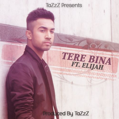 Tere Bina Ft Elijah Tazzz Mp3 Song Free Download