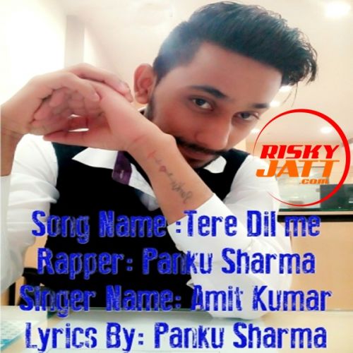 Tere Dil Me Amit Kumar, Panku Sharma Mp3 Song Free Download