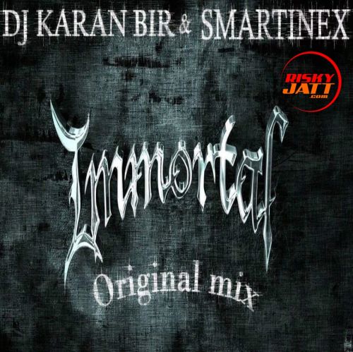 Immortal DJ Karan Bir, Smartinex Mp3 Song Free Download