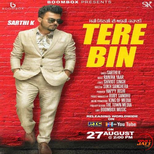 Tere Bin Sarthi K Mp3 Song Free Download