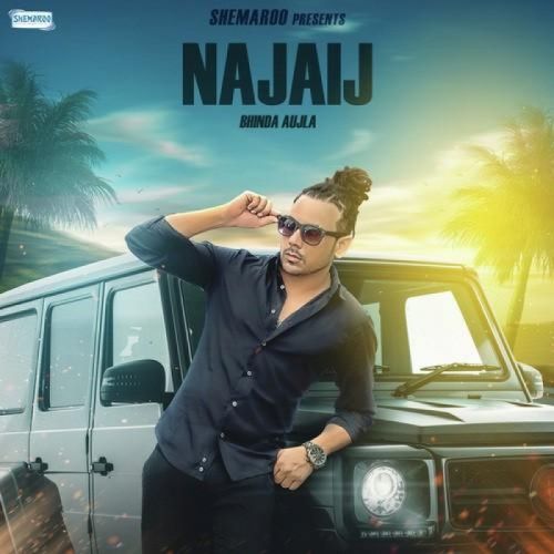 Najaij Bhinda Aujla Mp3 Song Free Download