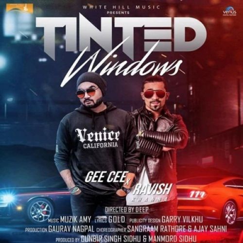 Tinted Windows Gee Cee, Ravish Khanna Mp3 Song Free Download