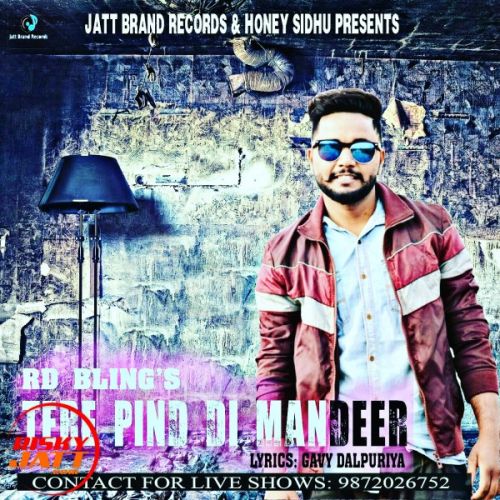 Tere pind di mandeer Rd Bling Feat Honey Sidhu Mp3 Song Free Download