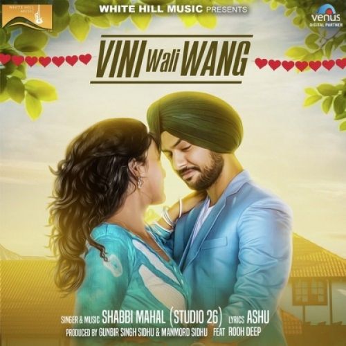 Vini Wali Wang Shabbi Mahal, Rooh Deep Mp3 Song Free Download