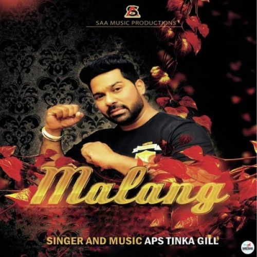 Malang APS Tinka Gill Mp3 Song Free Download