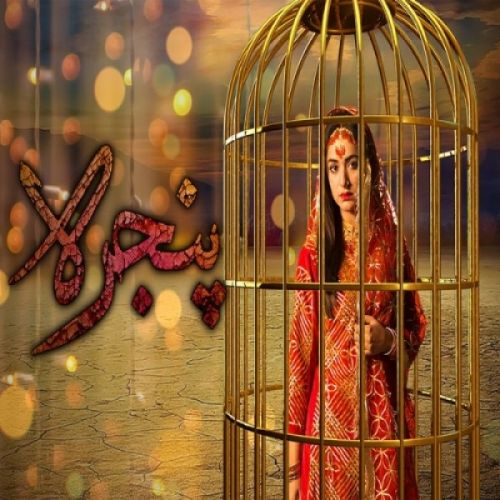 Pinjra Rahat Fateh Ali Khan, Noraan Laal Mp3 Song Free Download