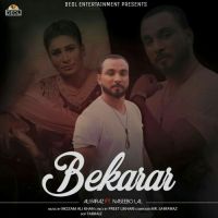 Bekarar Naseebo Lal, Ali Faraz Mp3 Song Free Download