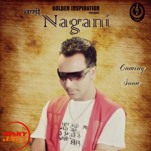 Nagani Sukha Zaildar, Sm Beats Mp3 Song Free Download