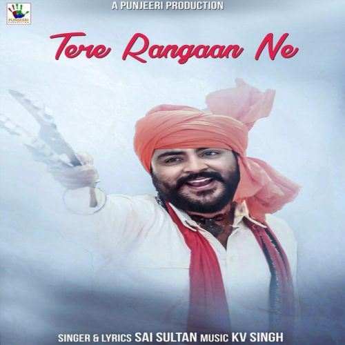 Tere Rangaan Ne Sai Sultan Mp3 Song Free Download