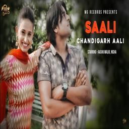 Saali Chandigarh Aali Vinu Gaur Mp3 Song Free Download