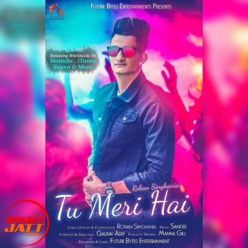 Tu Meri Hai Rohan Singhania Mp3 Song Free Download