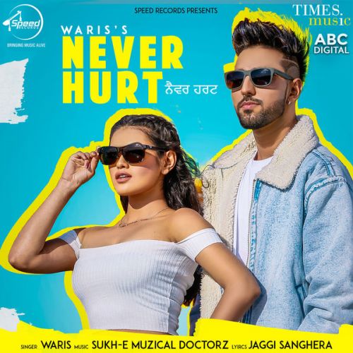 Never Hurt Waris, Sukh E Muzical Doctorz Mp3 Song Free Download