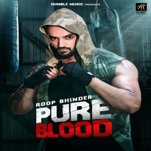 Pure Blood Roop Bhinder Mp3 Song Free Download