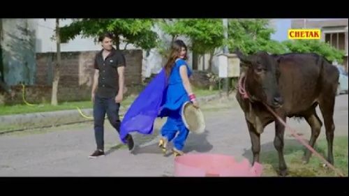 Kit Ka Lagya Pani Jaji King, Sonal Khatri Mp3 Song Free Download