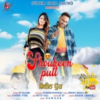 Shoukeen Putt M Saabh, Sudesh Kumari Mp3 Song Free Download