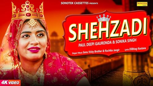 Shehzadi Sonu Vicky Brother, Ruchika Jangid, Sonika Singh Mp3 Song Free Download