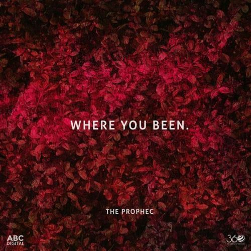 Where You Been The PropheC Mp3 Song Free Download