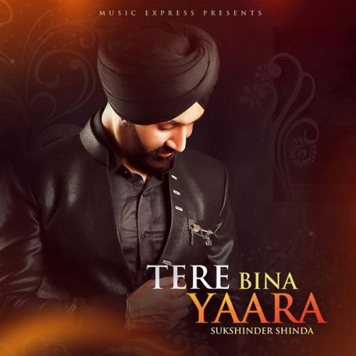 Tere Bina Yaara Sukshinder Shinda, Neetu Bhalla Mp3 Song Free Download