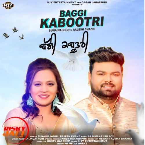 Baggi Kabootri Sunaina Noor, Rajesh Chand Mp3 Song Free Download