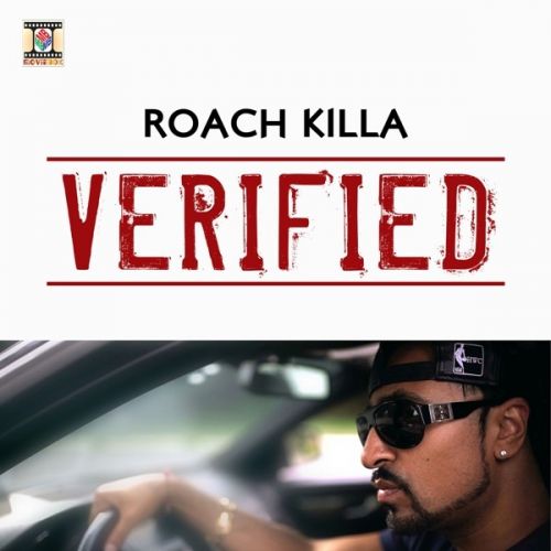 Verified Roach Killa, Naseebo Lal and others... full album mp3 songs download