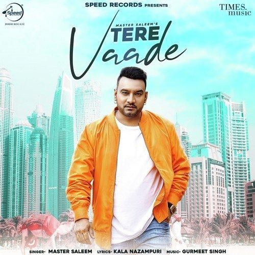 Tere Vaade Master Saleem Mp3 Song Free Download