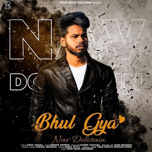 Bhul Gya Nav Dolorain Mp3 Song Free Download