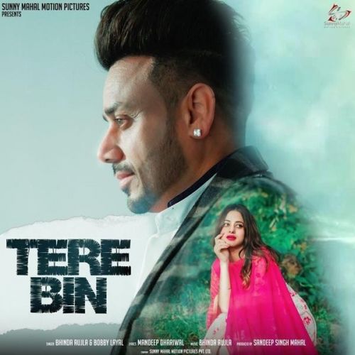 Tere Bin Bhinda Aujla Mp3 Song Free Download