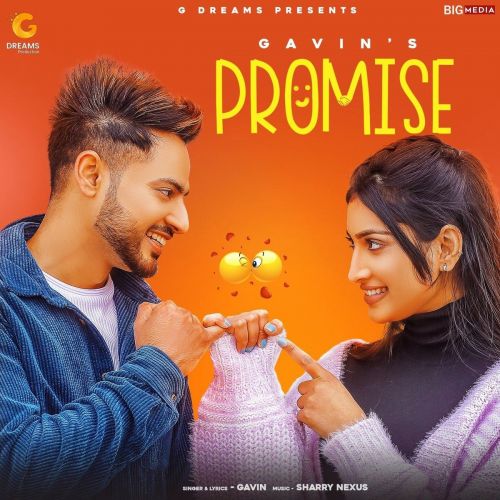 Promise Gavin Mp3 Song Free Download