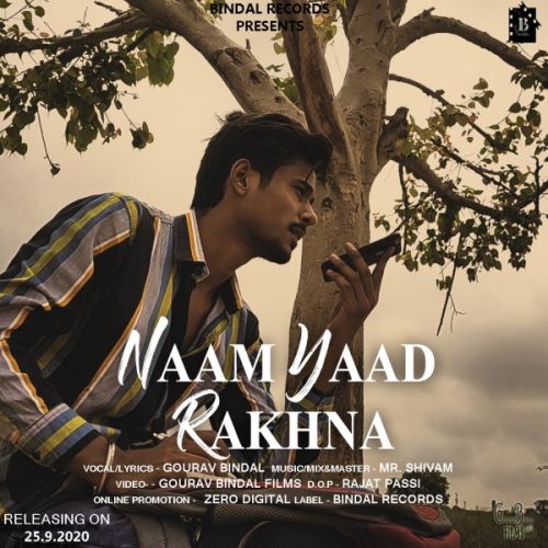 Naam Yaad Rakhna Gourav Bindal Mp3 Song Free Download