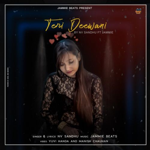 Teri Deewani Nv Sandhu Mp3 Song Free Download