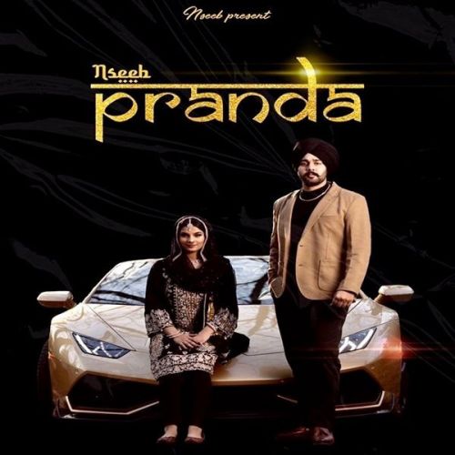 Paranda Nseeb Mp3 Song Free Download