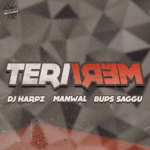 Teri Meri Manwal Mp3 Song Free Download