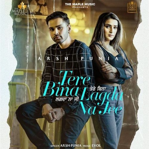 Tere Bina Lagda Na Jee Arsh Punia Mp3 Song Free Download