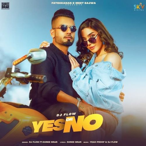 Yes or No DJ Flow, Shree Brar Mp3 Song Free Download