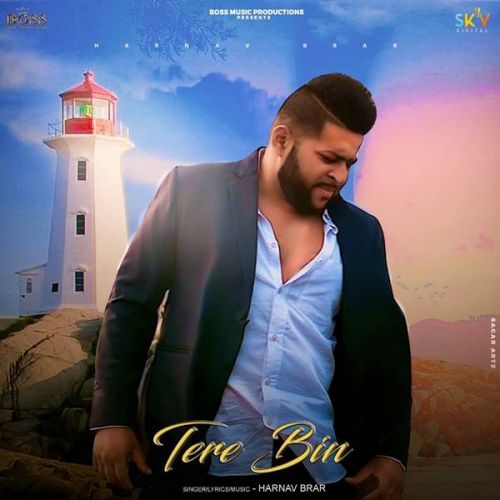 Tere Bin Harnav Brar Mp3 Song Free Download