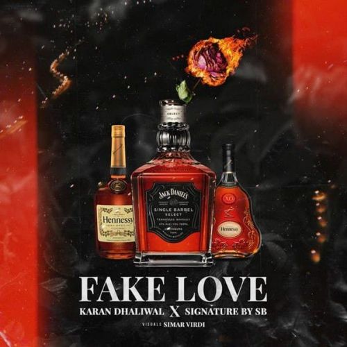 Fake Love Karan Dhaliwal Mp3 Song Free Download