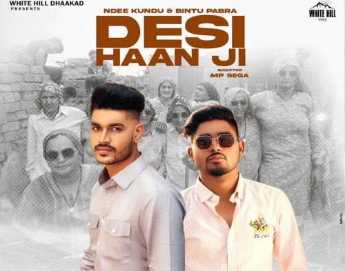 Desi Haan Ji Ndee Kundu Mp3 Song Free Download