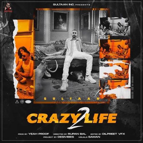 Crazy Life 2 Sultaan Mp3 Song Free Download