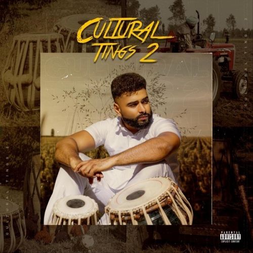 Cultural Tings 2 AK, Labh Janjua and others... full album mp3 songs download