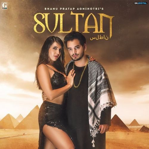 Sultan Bhanu Pratap Agnihotri Mp3 Song Free Download