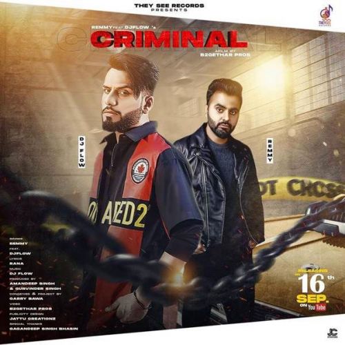 Criminal DJ Flow, Remmy Mp3 Song Free Download