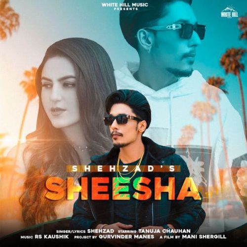 Sheesha Shehzad Mp3 Song Free Download