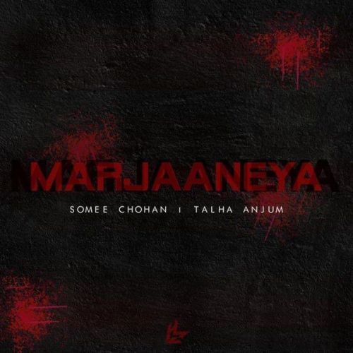 Marjaaneya Somee Chohan, Talha Anjum Mp3 Song Free Download