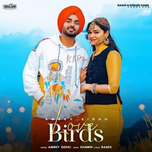 Love Birds Amrey Sidhu Mp3 Song Free Download