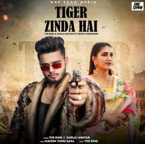 Tiger Zinda Hai The King, Gurlej Akhtar Mp3 Song Free Download