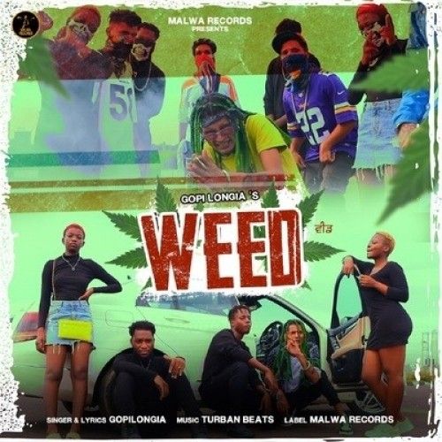 WEED Gopi Longia Mp3 Song Free Download