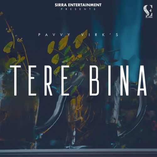 Tere Bina Pavvy Virk Mp3 Song Free Download