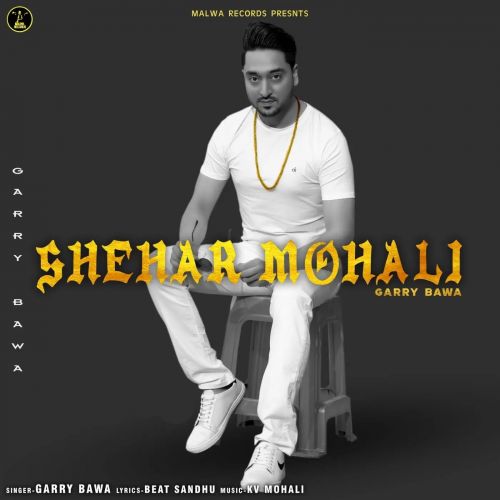 Shehar Mohali Garry Bawa Mp3 Song Free Download