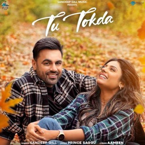 Tu Tokda Sandeep Gill Mp3 Song Free Download